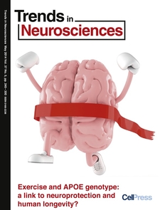 Research by UA faculty members Gene Alexander and David Raichlen is featured on the cover of the May issue of Trends in Neurosciences.